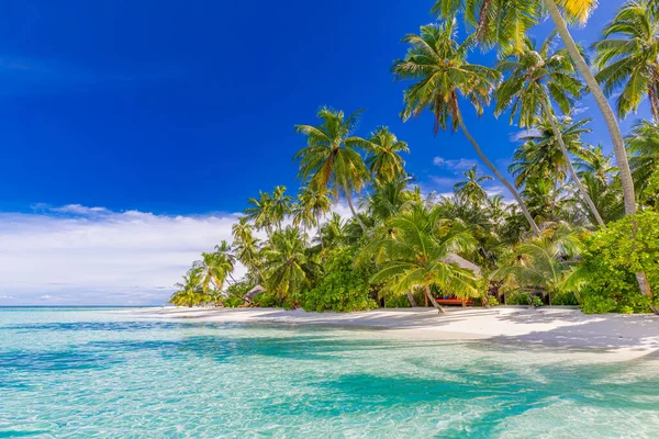 豪华度假海滩 美妙的流浪情欲旅游目的地景致 白沙滩上的棕榈树 热带岛屿天堂 度假旅游 海滨风景 — 图库照片