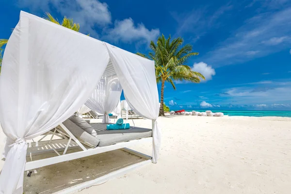 Piękny Biały Salon Krzesła Plaży — Zdjęcie stockowe