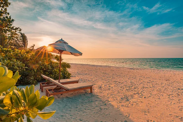 Tropische Strand Natuur Als Zomer Landschap Met Ligstoelen Palmbomen Kalme — Stockfoto