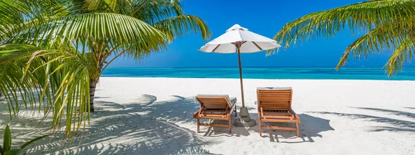 라운지 의자와 야자나무가 깃발을 펼쳐진 해변의 자연이다 휴가나 휴일의 아름다운 — 스톡 사진