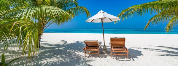 Tropische Strand Natuur Als Zomer Landschap Met Ligstoelen Palmbomen Kalme — Stockfoto