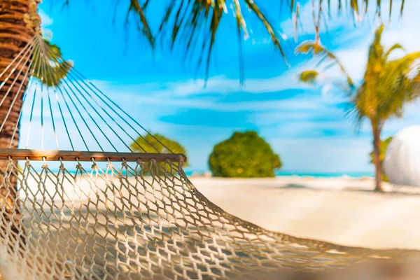 Beach hammock hanging on a palm tree on the Maldives. Amazing summer vibes and beach mood, relaxing hammock for outdoor recreational background. Tropical pattern, palm leaves and blue sky, white sand