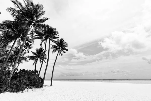 美丽的热带海滩 旅行概念 — 图库照片
