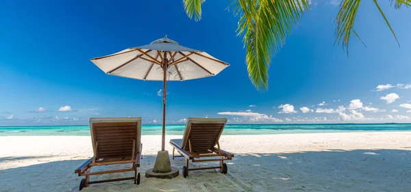 Tropische Strand Natuur Als Zomer Landschap Met Ligstoelen Palmbomen Luxe — Stockfoto