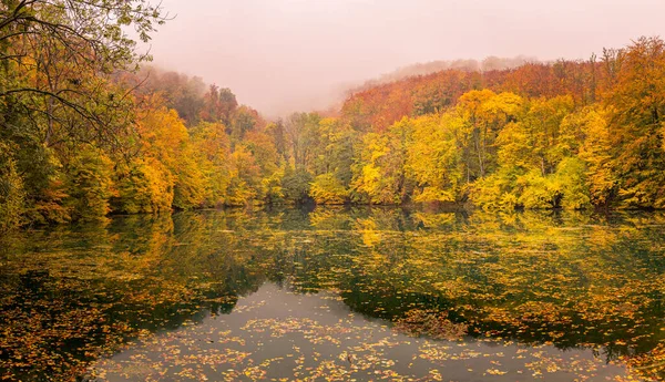 Осінній Пейзаж Деревами Ставком — стокове фото