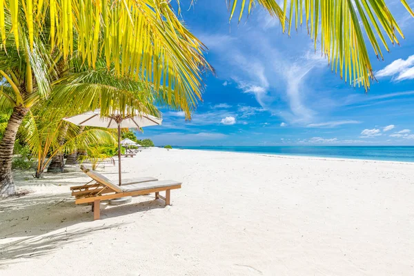 静かなビーチのシーン 背景や壁紙のためのエキゾチックな熱帯のビーチの風景 夏休みの休暇のコンセプトのデザイン 完璧なカップル旅行先の風景 夏休みの休日のテンプレート 白い砂 レジャーライフスタイル — ストック写真