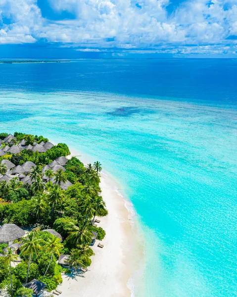 Belle Plage Tropicale Avec Palmiers — Photo