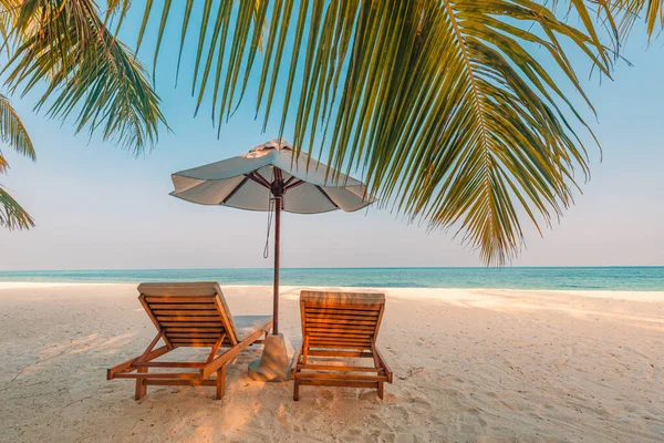 Tropische Strand Natuur Als Zomer Landschap Met Ligstoelen Palmbomen Kalme — Stockfoto