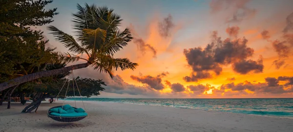 Panorama Tropicale Sulla Spiaggia Come Paesaggio Estivo Con Altalena Sulla — Foto Stock