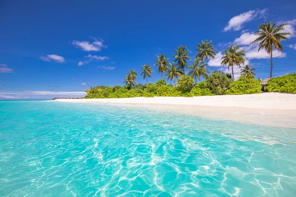 Luxus Resort Strand Wunderschönes Fernweh Reiseziel Landschaftlich Palmen Über Weißem — Stockfoto