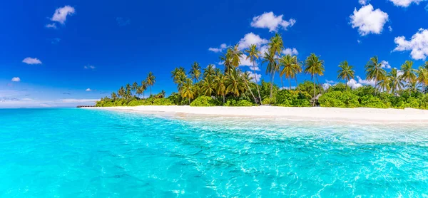 Красивый Тропический Пляж Пальмами Голубым Небом — стоковое фото