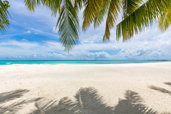 Bella Spiaggia Tropicale Con Palme — Foto Stock