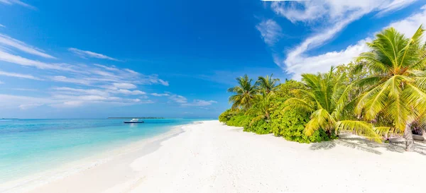 Incredibile Spiaggia Sabbia Natura Con Palme Cielo Lunatico Tranquillo Vacanze — Foto Stock