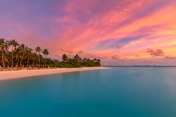 Bella Spiaggia Tropicale Con Palme Tramonto Aumentare Elaborazione Del Colore — Foto Stock
