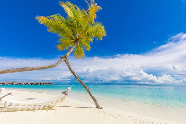 Vacker Tropisk Strand Med Hängmatta Resebegrepp — Stockfoto