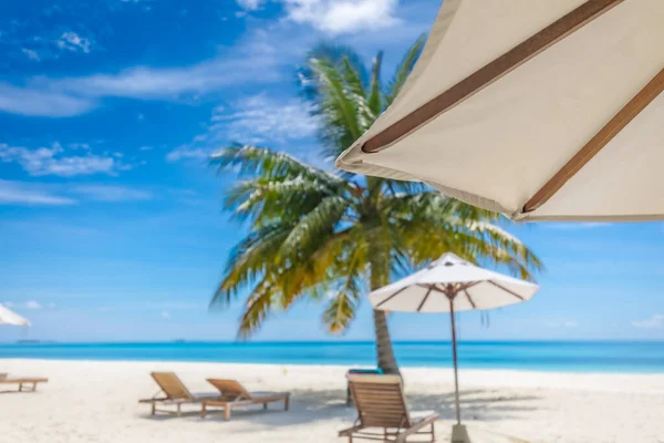 Hermosa Playa Con Sombrillas Sillas — Foto de Stock