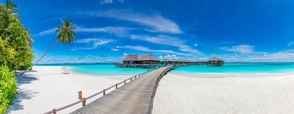 Magnifique Complexe Luxe Sur Plage Tropicale Avec Vue Sur Mer — Photo