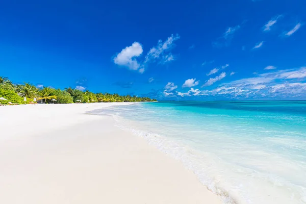 Incroyable Plage Sable Naturel Avec Des Palmiers Ciel Humide Tranquille — Photo