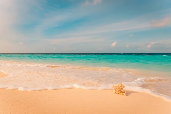 Praia Mar Tropical Conceito Céu Areia Mar Dia Verão Relaxe — Fotografia de Stock