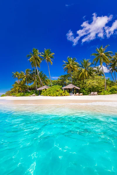 Luxury resort beach. Wonderful wanderlust travel destination scenic. Palm trees over white sand. Tropical island paradise, vacation tourism, seaside landscape