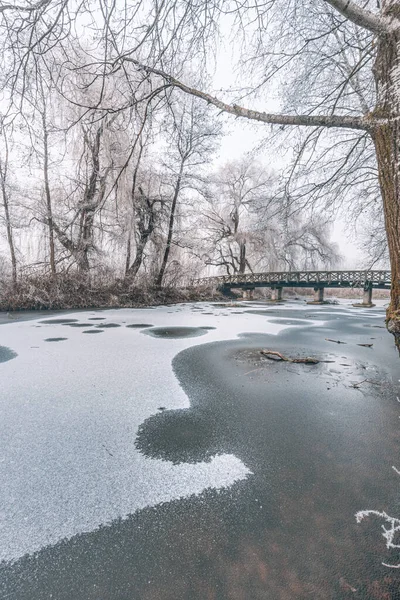 Bevroren Meer Besneeuwd Boslandschap Idyllische Witte Natuur Winterscow Landschap Seizoensgebonden — Stockfoto