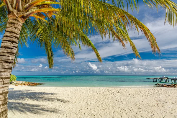 Hermosa Playa Tropical Con Palmera Cielo Azul — Foto de Stock