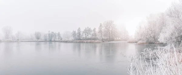 Bevroren Meer Besneeuwd Boslandschap Idyllische Witte Natuur Winterscow Landschap Seizoensgebonden — Stockfoto