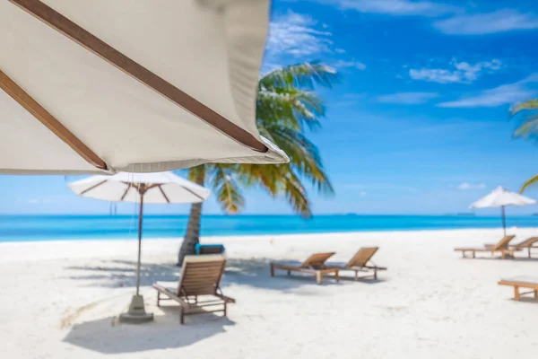 Hermosa Playa Con Sombrillas Sillas — Foto de Stock