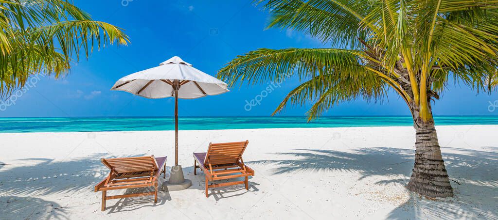 Tropical beach nature as summer landscape with lounge chairs and palm trees and calm sea for beach banner. Luxurious travel landscape, beautiful destination for vacation or holiday. Beach scene