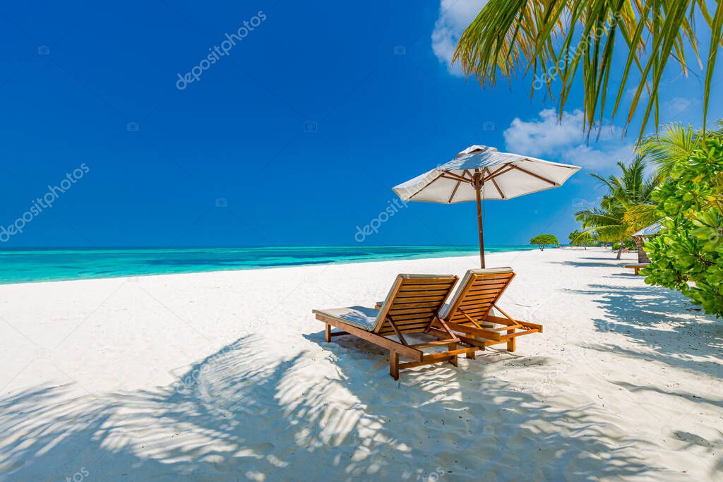 Tropical beach nature as summer landscape with lounge chairs and palm trees and calm sea for beach banner. Luxurious travel landscape, beautiful destination for vacation or holiday. Beach scene