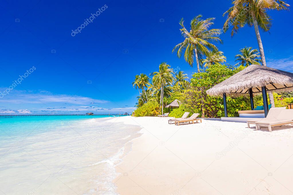 Luxury resort beach. Wonderful wanderlust travel destination scenic. Palm trees over white sand. Tropical island paradise, vacation tourism, seaside landscape
