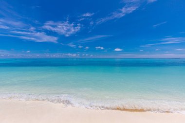 Kumsaldaki kumlara ve mavi yaz gökyüzüne yakın. Panoramik plaj manzarası. Boş tropik plaj ve deniz manzarası. Mavi gökyüzü, yumuşak kum, sakinlik, rahatlatıcı güneş ışığı, yaz havası. Seyahat tatili