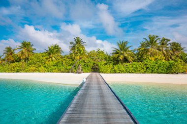 Palmiye ağaçları ve deniz manzaralı güzel tropik sahil boş beyaz kum ve mavi gökyüzü