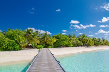 Güzel plajları ve palmiyeleri olan tropikal bir adada yaz tatili, cennet manzarasına iskele iskelesi. Göz kamaştırıcı bir yaz manzarası, huzur verici bir manzara. Seyahat et egzotik doğa gezisi