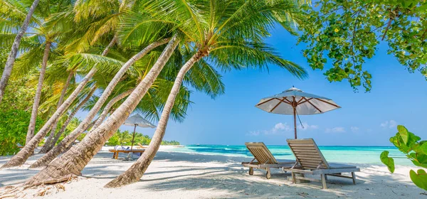 Bellissima Spiaggia Con Ombrellone Sedie Sull Isola Tropicale — Foto Stock