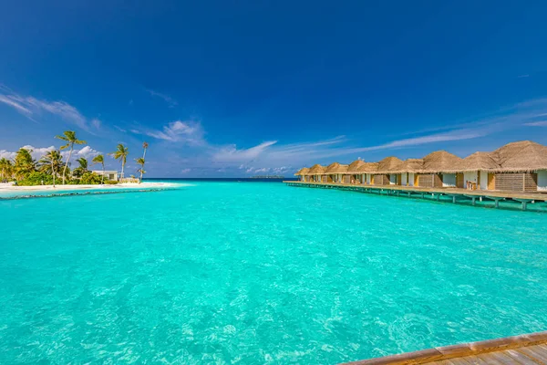 Prachtig Tropisch Strand Met Palmbomen Blauwe Lucht — Stockfoto