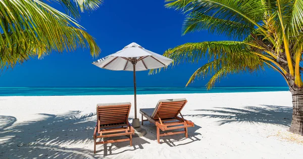 Tropisk Strandnatur Som Sommerlandskap Med Salongstoler Palmer Luksuriøst Reiselandskap Vakkert – stockfoto