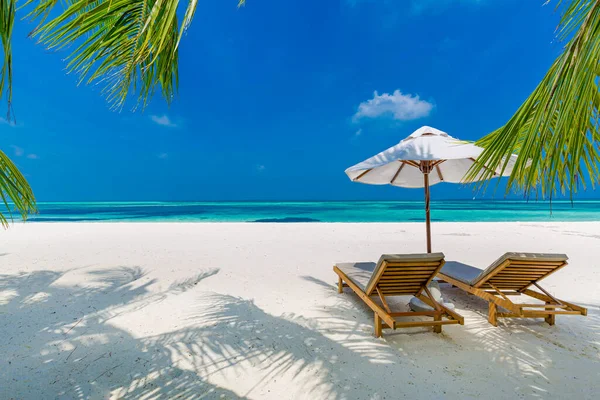 热带海滩自然如夏日风景 有躺椅和棕榈树 奢华的旅游风景 美丽的度假或度假目的地 海滩场景 — 图库照片
