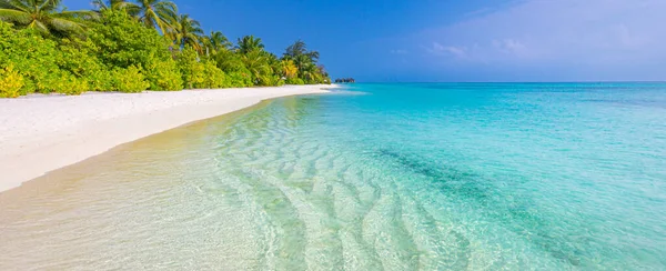 Wunderschöner Tropischer Paradiesstrand Mit Blauem Himmel — Stockfoto