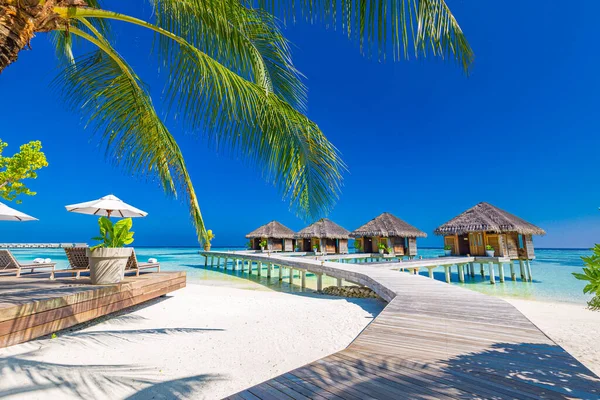 Krásný Luxusní Resort Tropické Pláži Výhledem Moře — Stock fotografie