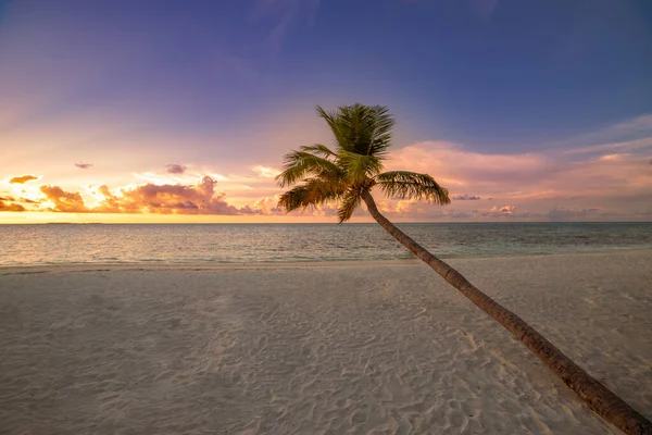 Belo Pôr Sol Sobre Mar — Fotografia de Stock