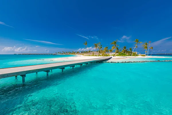 Belle Île Tropicale Des Maldives Avec Mer Bleue Ciel Bleu — Photo