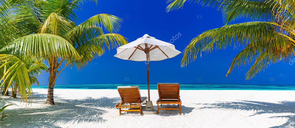 Tropical beach nature as summer landscape with lounge chairs and palm trees. Luxurious travel landscape, beautiful destination for vacation or holiday. Beach scene, freedom