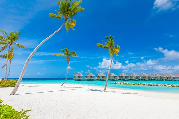 Hermosa Playa Tropical Con Bungalows Concepto Viaje —  Fotos de Stock
