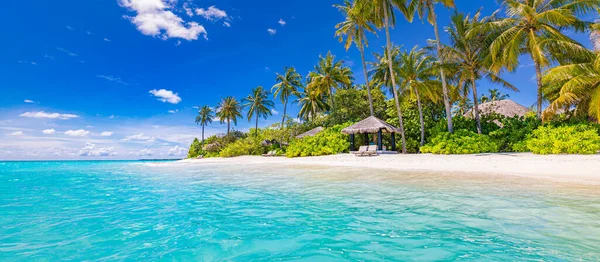 Gyönyörű Trópusi Strand Pálmafákkal — Stock Fotó