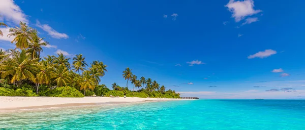 Schöner Tropischer Strand Mit Palmen Für Den Urlaub — Stockfoto