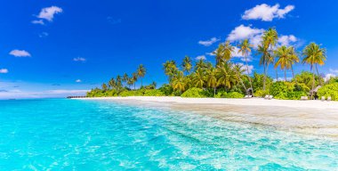Tatil için palmiye ağaçları olan güzel tropikal plaj