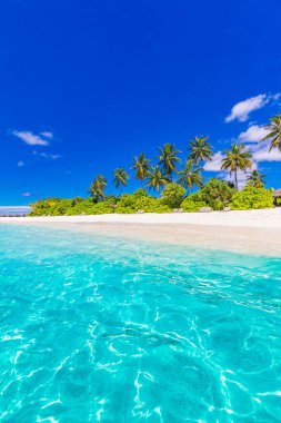 Tatil için palmiye ağaçları olan güzel tropikal plaj