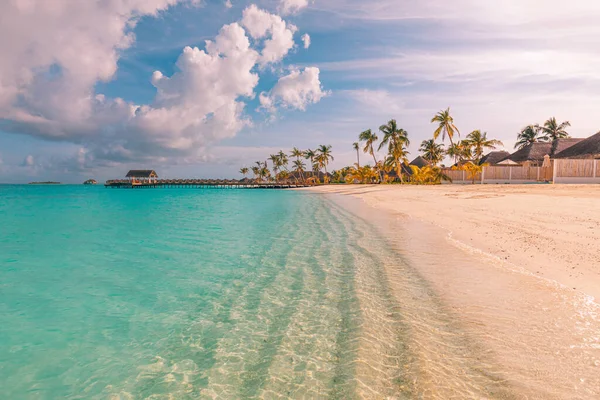 Beautiful Tropical Beach Palm Trees — Stock Photo, Image