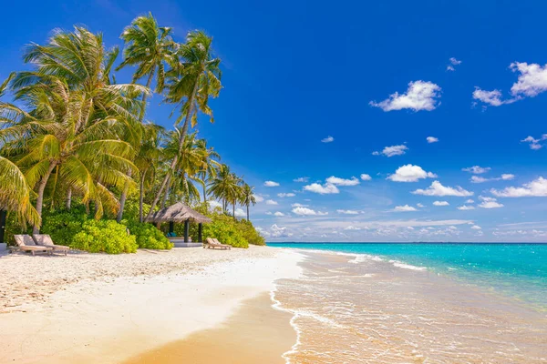 Hermosa Playa Tropical Con Palmeras — Foto de Stock